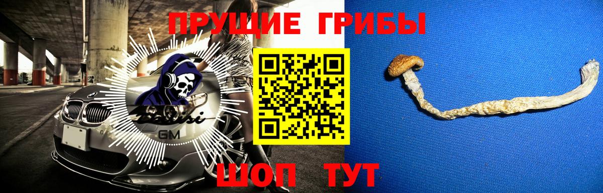 Псилоцибиновые грибы мицелий  Вход с VPN  Кирово-Чепецк  Галлюциногенные грибы мухоморы 